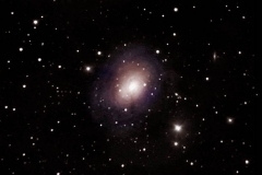 05-IC356-ARP213-15-1-2012 -5
