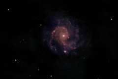 09-Ngc3184-2-2-2012 - 12