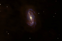 16-Ngc2903-24-3-2012 - 20