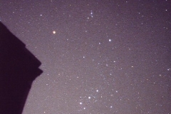 Orion