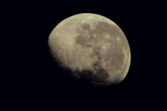 moonep2