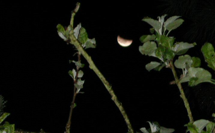 moon_eclipse1