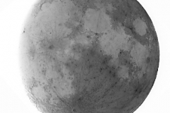 moon_neg