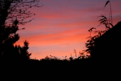 sunset3