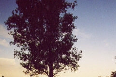 Eclipse9